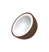 Poudre d'eau de coco